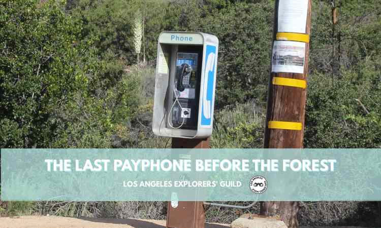 The Last Payphone (Before the Forest) — Los Angeles Explorers Guild